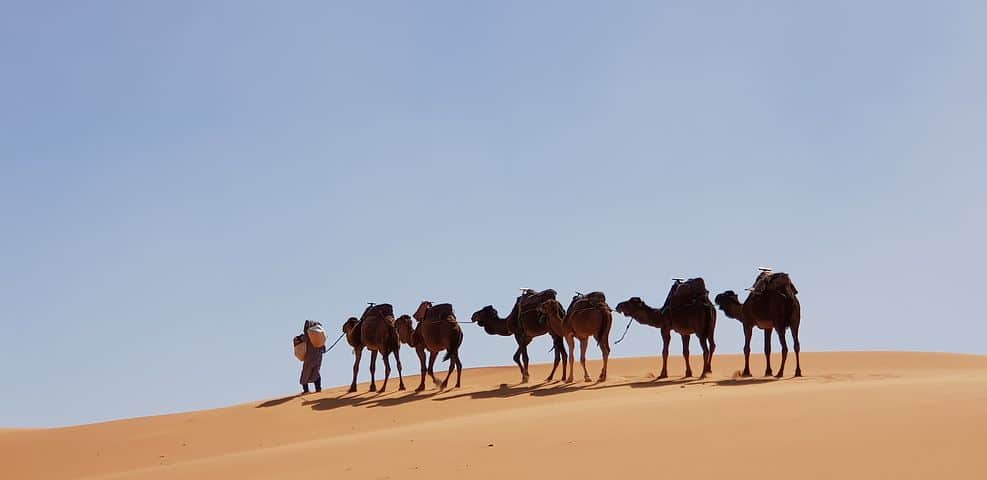 Adrar