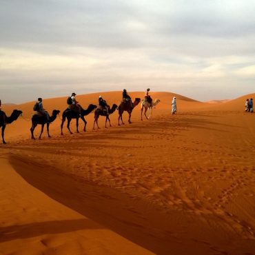 Adrar et banc d'Arguib